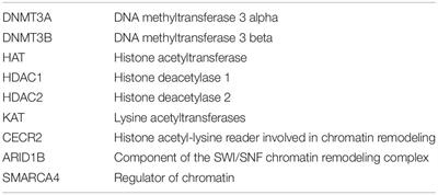 MRNA Transcription, Translation, and Defects in Developmental Cognitive and Behavioral Disorders